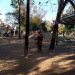 Invertirán 65 mdp en parques y áreas verdes