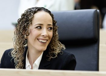 PAN celebra fallo de SCJN sobre Ley de Ciberasedio