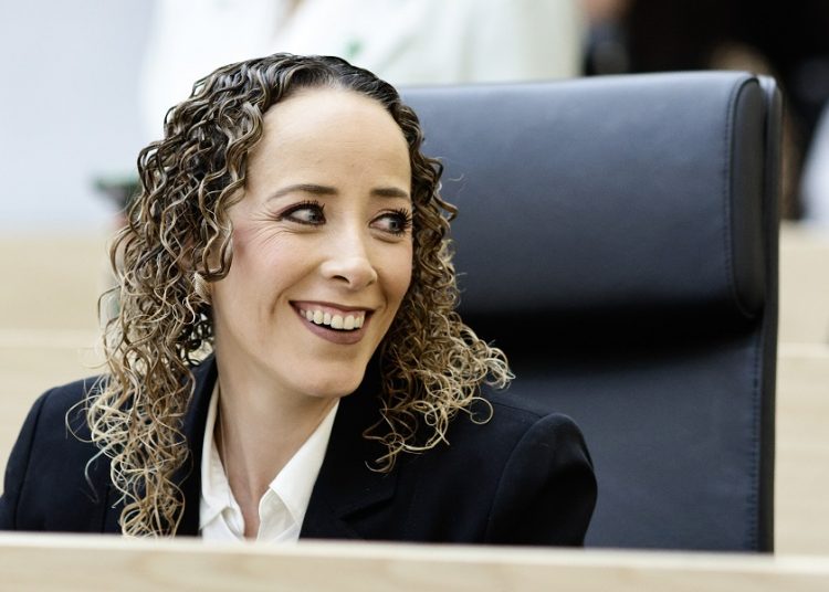 PAN celebra fallo de SCJN sobre Ley de Ciberasedio