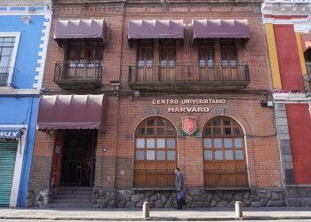 Buscan cárcel para directivos de ‘escuelas patito’