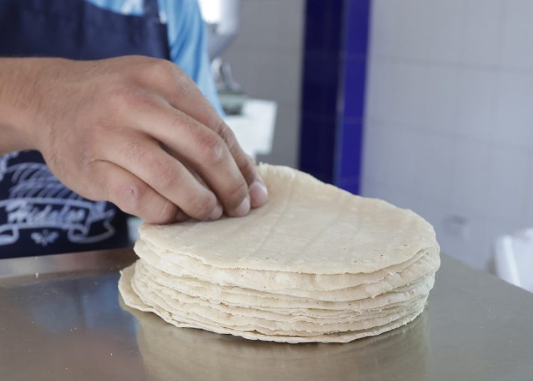 Puebla se integra al Acuerdo Nacional Maíz-Tortilla