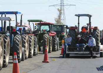 Productores amenazan con boicot al Mundial por falta de apoyo