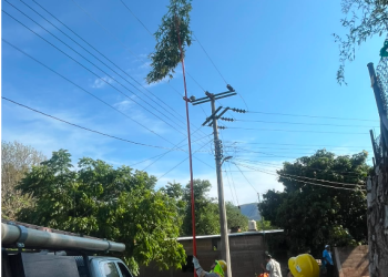 CFE restablece 50% de usuarios afectados por lluvias en 5 estados