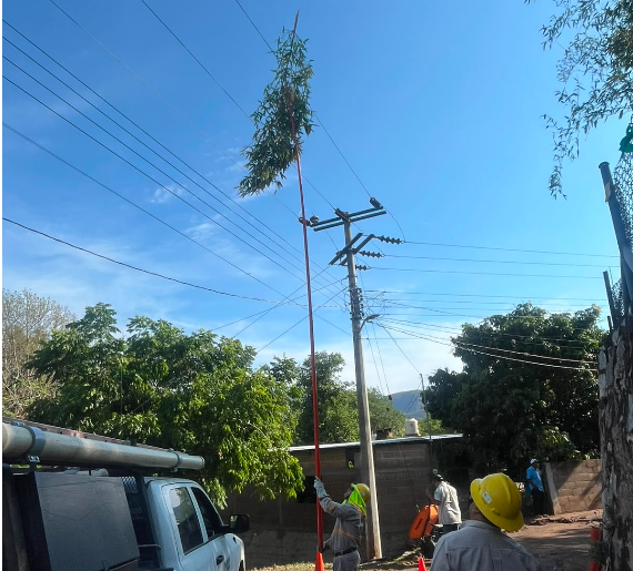 CFE restablece 50% de usuarios afectados por lluvias en 5 estados