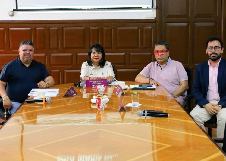 Proponen verificar cédulas y reforzar clausuras para frenar clínicas clandestinas