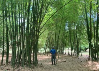 Alianza ambiental entre Inifap y Volkswagen fortalece conservación en Hueytamalco