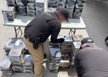 Decomisan cerca de una tonelada de metanfetamina en Durango
