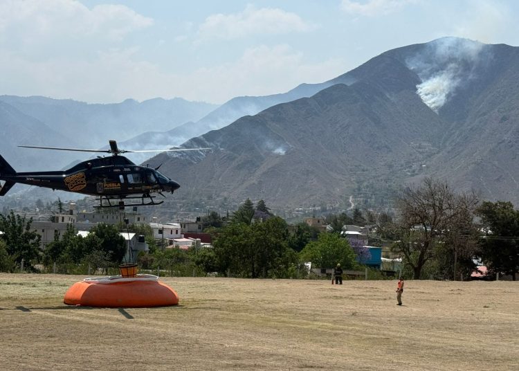 Por Aire y por tierra, Gobierno combate incendio forestal en Zautla