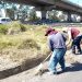 Ayuntamiento de Puebla interviene 215 mil m² en bajo puentes