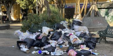 Alertan riesgo sanitario por manejo de basura