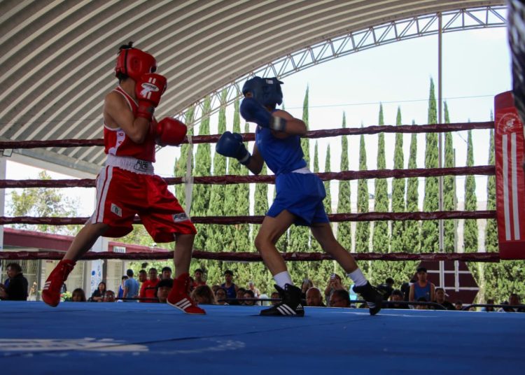 Gobierno de Pepe Chedraui desarrolla la sexta y séptima función del Torneo de Barrios de Box