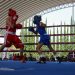 Gobierno de Pepe Chedraui desarrolla la sexta y séptima función del Torneo de Barrios de Box