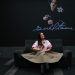 Camila Fernández y el legado femenino del mariachi