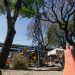 Cabildo de Puebla aprueba Consejo de Desarrollo Urbano y Vivienda
