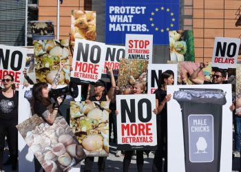 UE aprueba ley por el bienestar de perros y gatos
