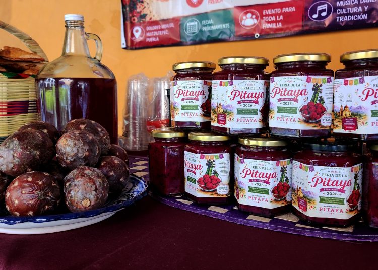 Promueven ‘Feria de la Pitaya y Pitahaya 2026’ en Huitziltepec