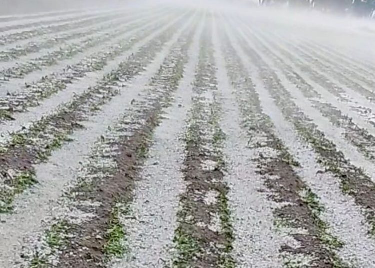 Gobierno del Estado supervisa afectaciones por granizada en municipios de Región Izta-Popo