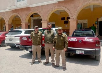 Fortalecen acciones preventivas para el gusano barrenador del ganado