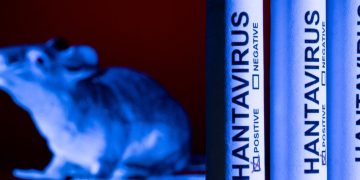 Hantavirus bajo la lupa