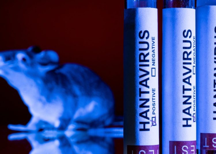 Hantavirus bajo la lupa