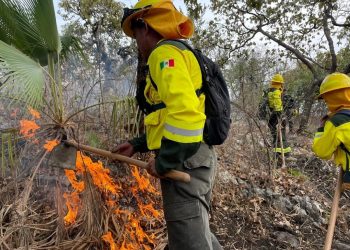 Controlan incendio forestal en Cohetzala