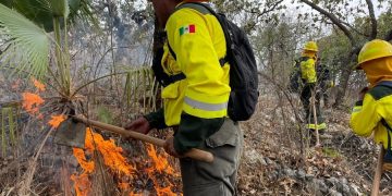 Controlan incendio forestal en Cohetzala