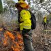 Controlan incendio forestal en Cohetzala