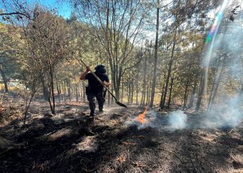 Fortalece Seguridad Pública protección y combate a delitos ambientales