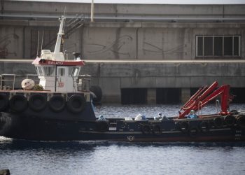 Comienza desembarco de pasajeros del crucero afectado por brote de hantavirus