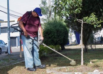 Pepe Chedraui supervisa mantenimiento permanente en parques y áreas verdes