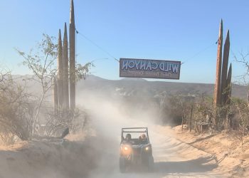 Cabos San Lucas, playa Chileno, parque Wild Canyon, principales puntos turísticos en Los Cabos