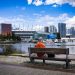 Toronto, donde el mundo entero convive
