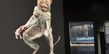 National Geographic recibe a los exploradores del mundo