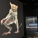 National Geographic recibe a los exploradores del mundo