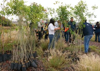 Agua de Puebla sembrará 3 mil 500 árboles con programa ‘Arbolitros’
