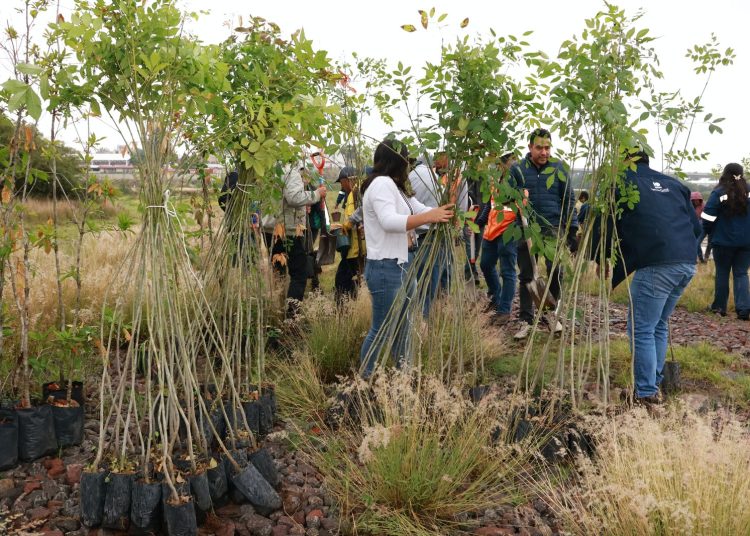 Agua de Puebla sembrará 3 mil 500 árboles con programa ‘Arbolitros’