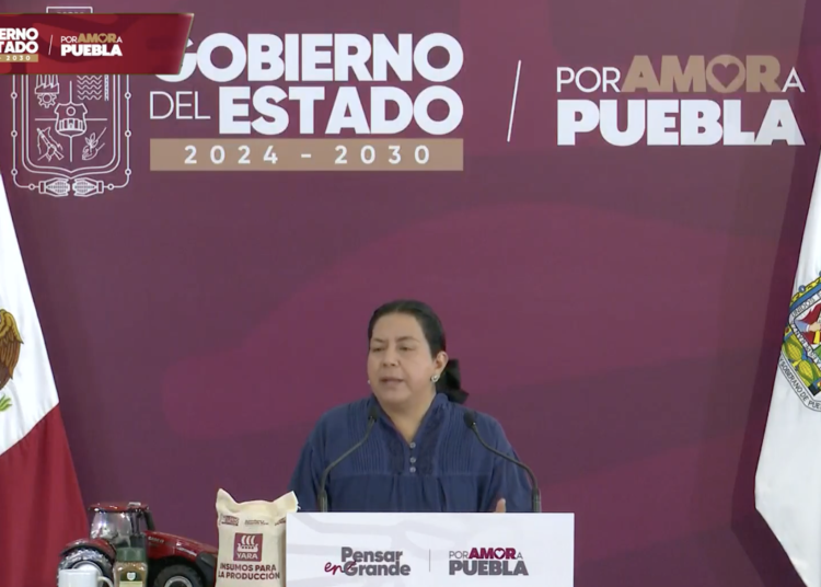Hasta 70% de productores de café de Puebla pertenecen a pueblos originarios