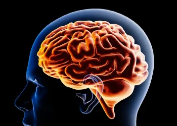 La IA genera atrofia mental