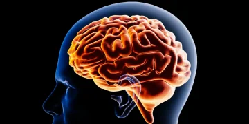 La IA genera atrofia mental