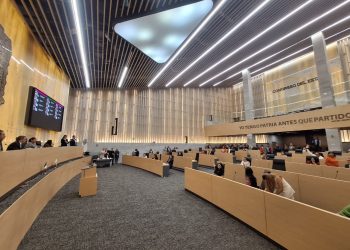 Solo cinco diputados respaldan reconocimiento de infancias trans