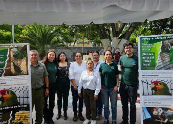 Defensores de los animales y funcionarios federales se unen para combatir el comercio ilegal de aves durante la «Fiesta del Pájaro»
