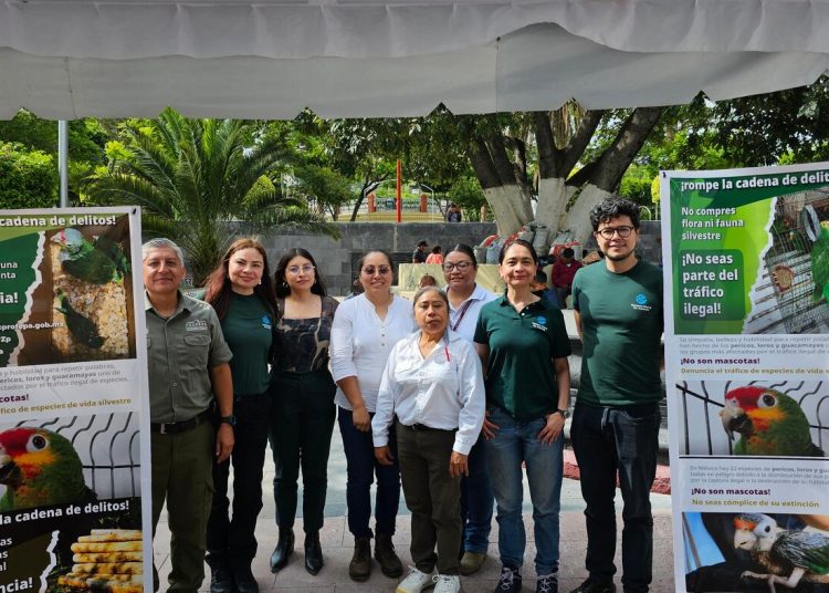 Defensores de los animales y funcionarios federales se unen para combatir el comercio ilegal de aves durante la «Fiesta del Pájaro»