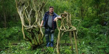 El arte de moldear árboles para sillas