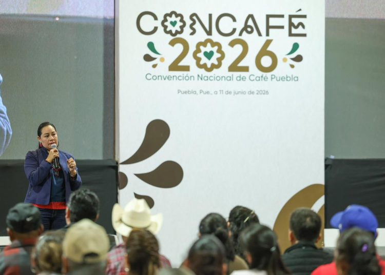 Planta de café bienestar en Puebla proyecta el futuro de cafetaleros