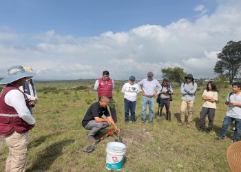 Gobierno de Pepe Chedraui planta más de 9 mil árboles en reforestación