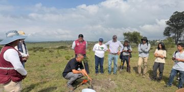 Gobierno de Pepe Chedraui planta más de 9 mil árboles en reforestación