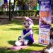 Secretaría de las Mujeres atendió a 524 víctimas de violencia en mayo