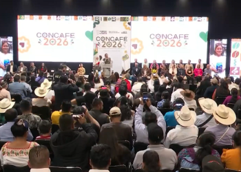 Café 5 de Mayo lanzará nueva línea de saborizados