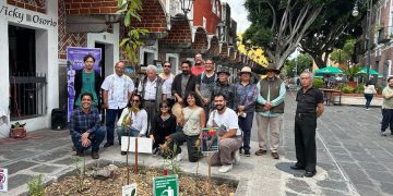 Pepe Chedraui refuerza conservación del arbolado urbano