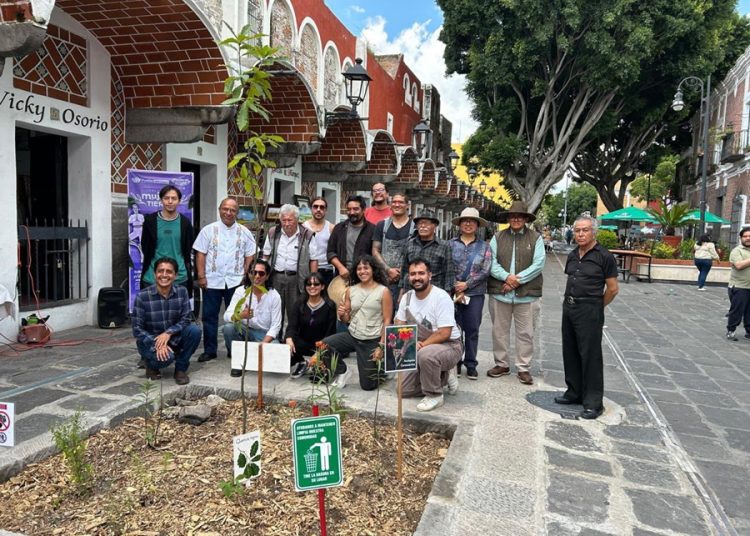 Pepe Chedraui refuerza conservación del arbolado urbano